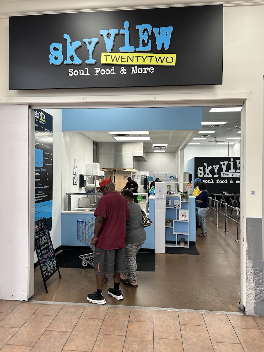 SkyView 22