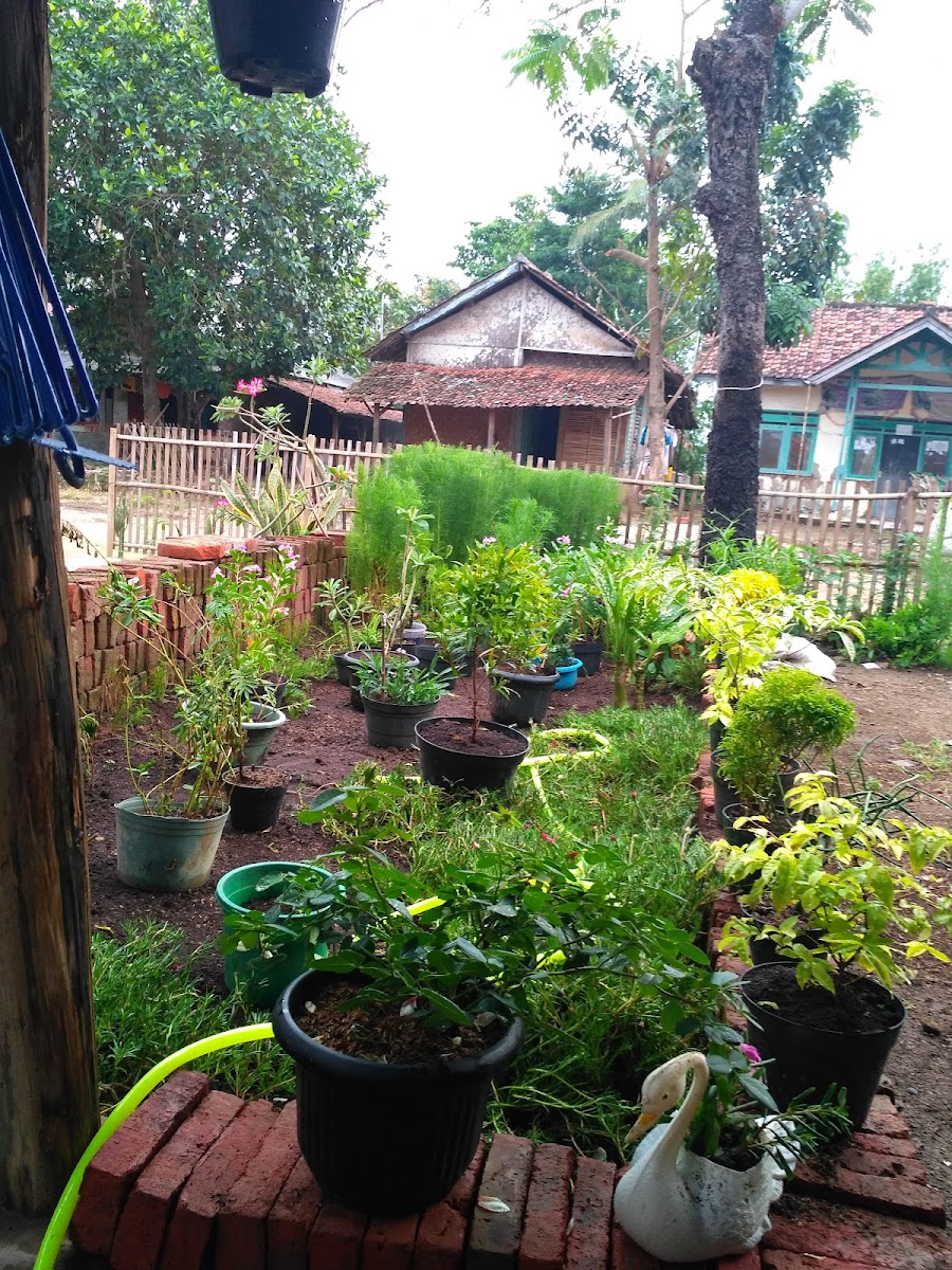 Warung sega Ibu Piah