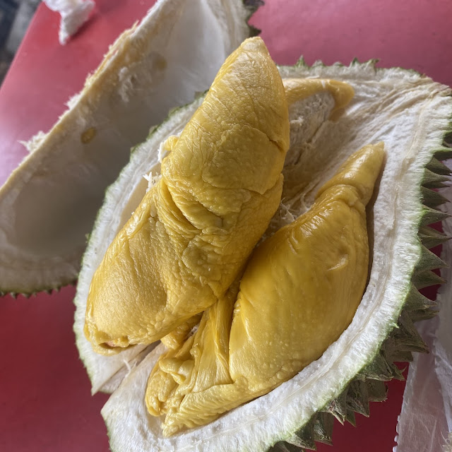 Musang King Durian