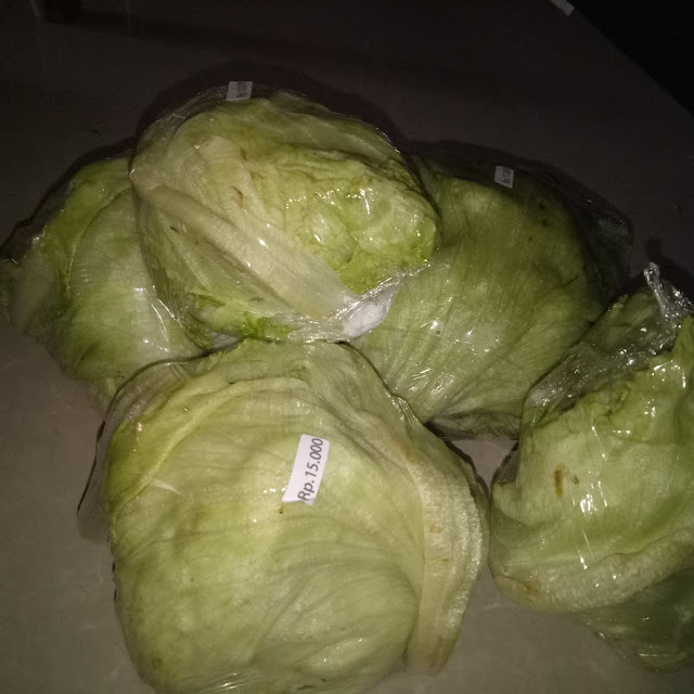 Lettuce Iceberg