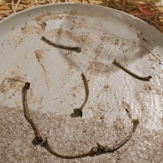 Teller Eines Glücklichen Gastes