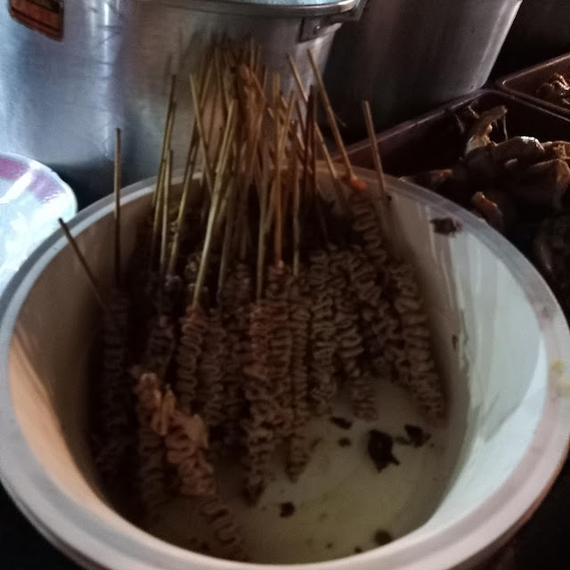 Sate Usus
