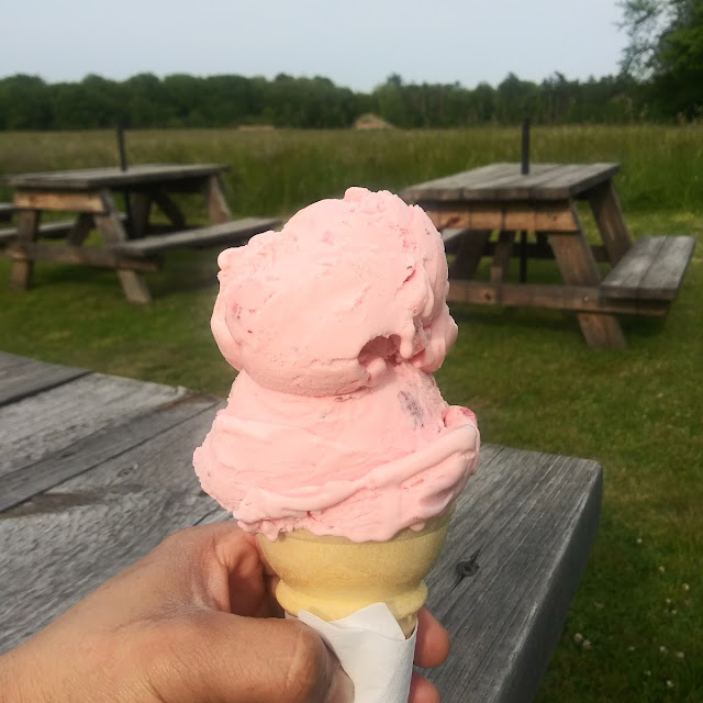 Strawberry Vanilla Ice Cream
