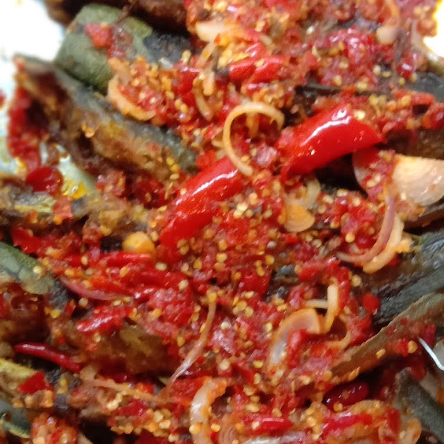 Ikan Keli Berlada