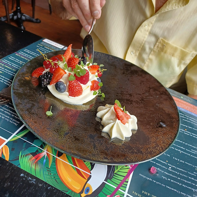 Pavlova Kiwi