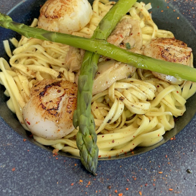 Shell Pasta