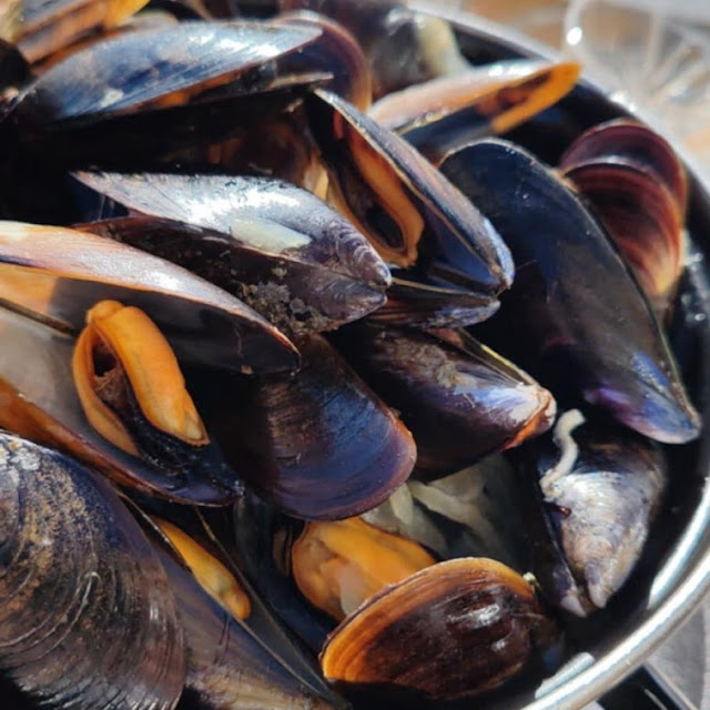 Moules Frites