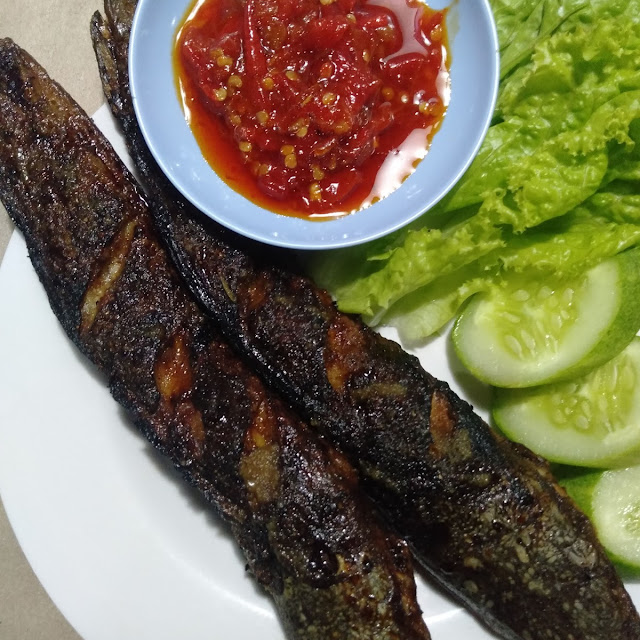 Lele Goreng Bakar
