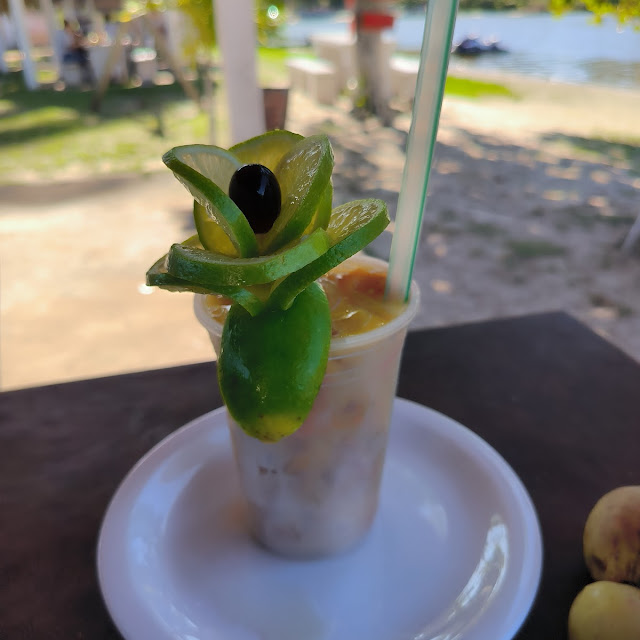 Caipfruta de Caju