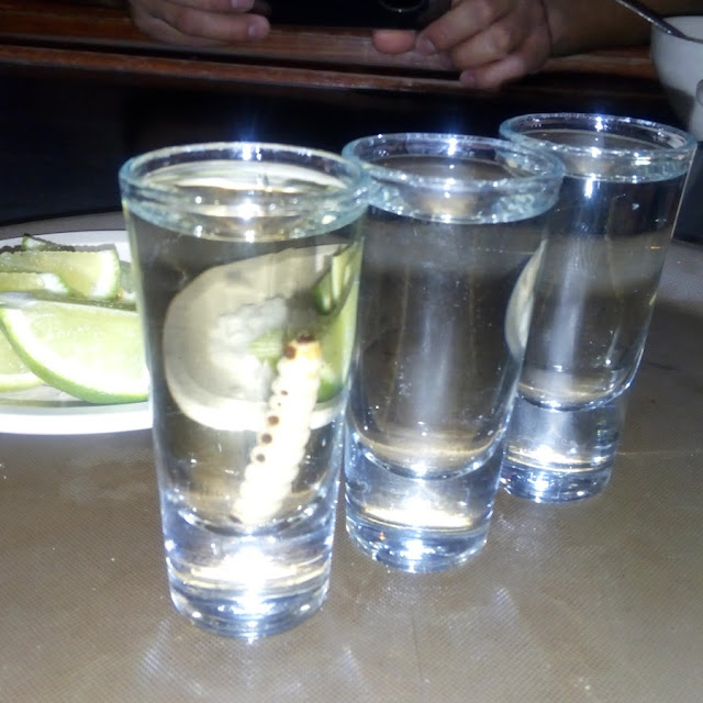 Mezcal Gusano Rojo
