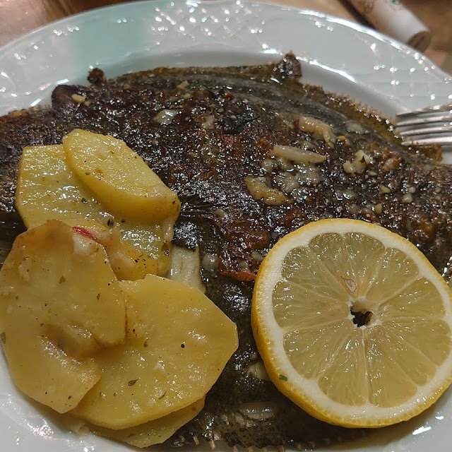 Rodaballo
