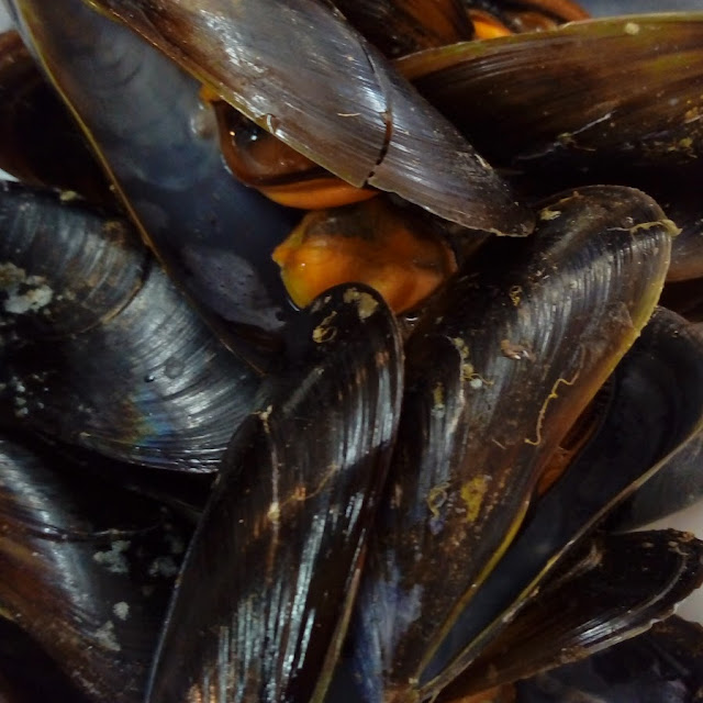 Mejillones Vapor