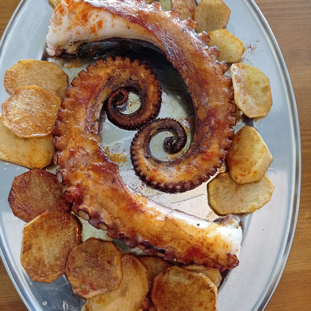 Pulpo