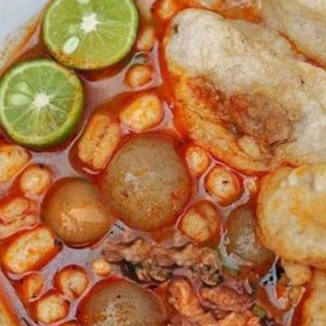 Bacil Biasa