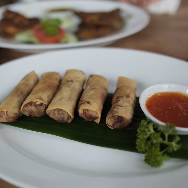Mixed Spring Roll