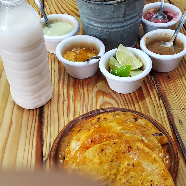Tacos Dorados de Birria