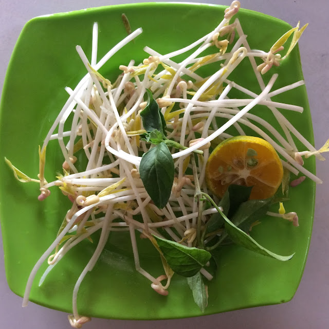 Bean Sprouts