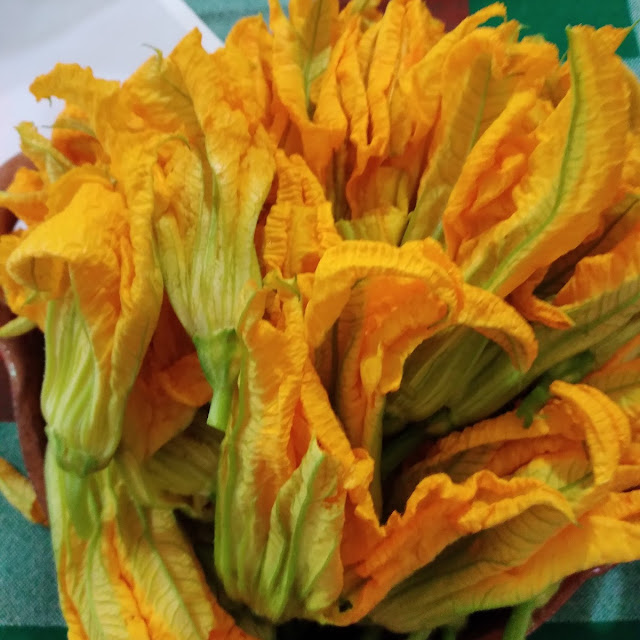 Flor de Calabaza Para Unas Ricas Quesadillas