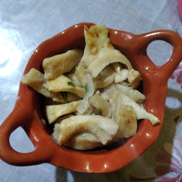 Hongos de Temporada