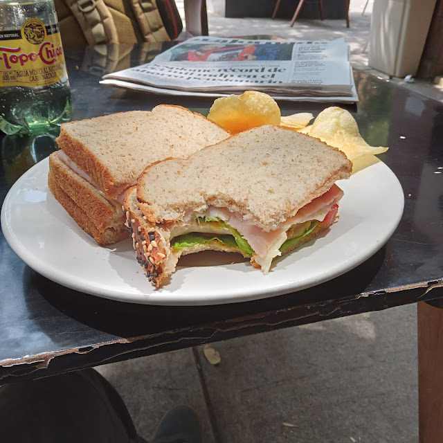 Ham and Swiss Panini