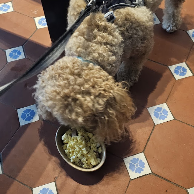 Sausage and Scrambled Eggs