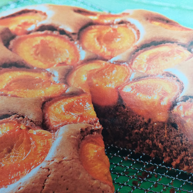 Schoko Aprikosenkuchen