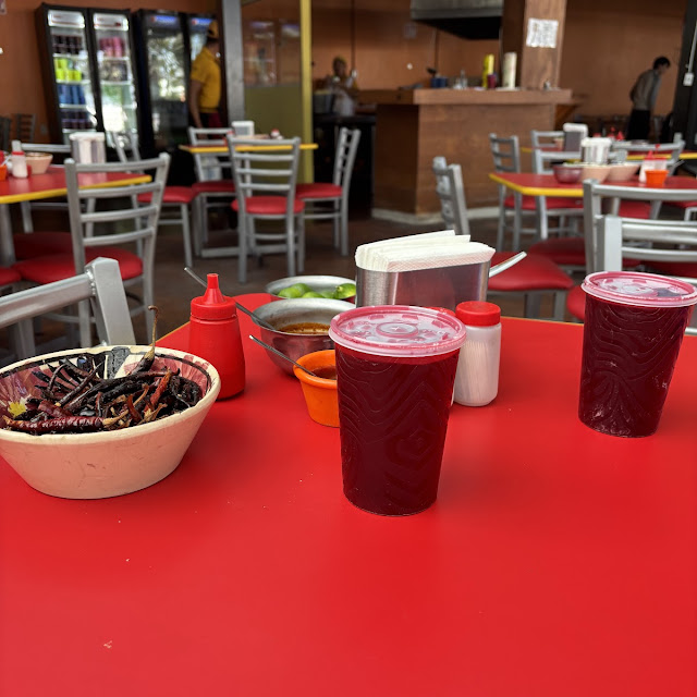 Agua de Jamaica