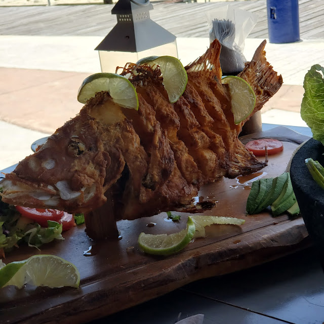 Red Snapper