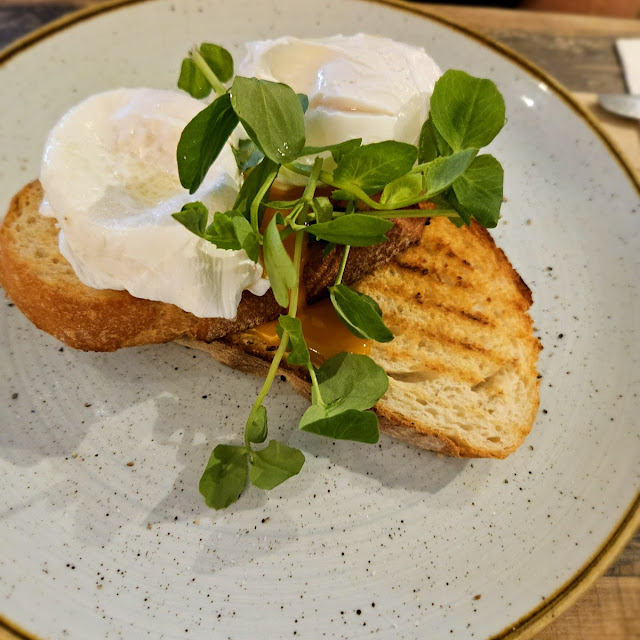 Poached Egg