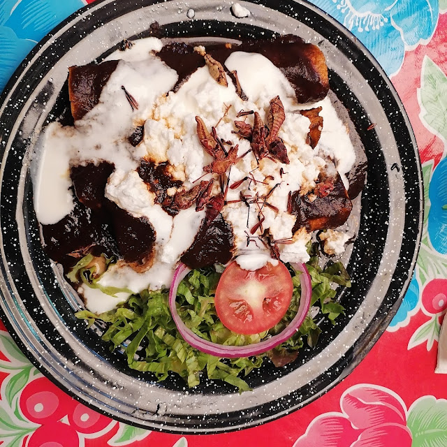Enchiladas Oaxaqueñas Con Chapulines