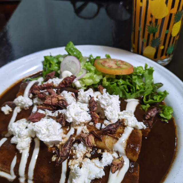 Enchiladas Con Chapulines