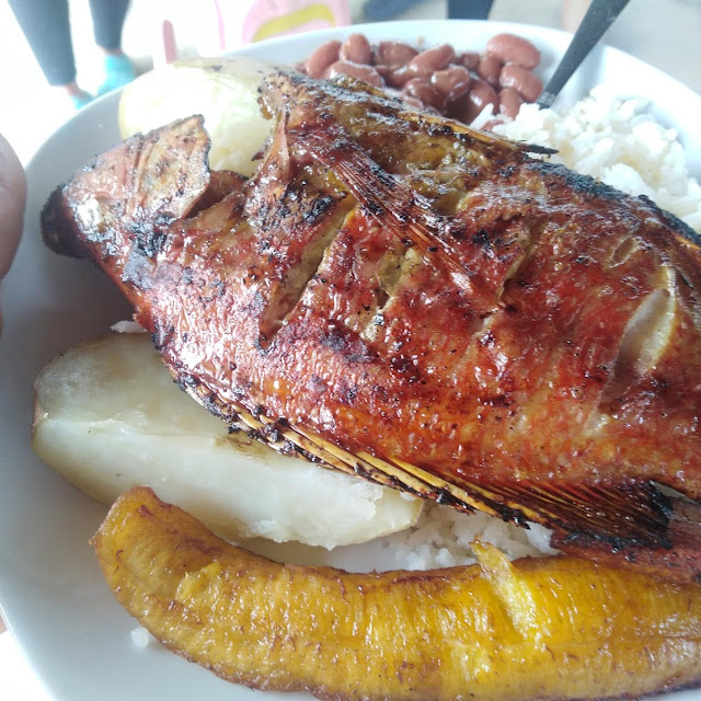 Tilapia