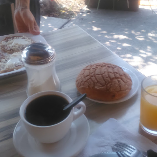 Café Con Concha de Chocolate