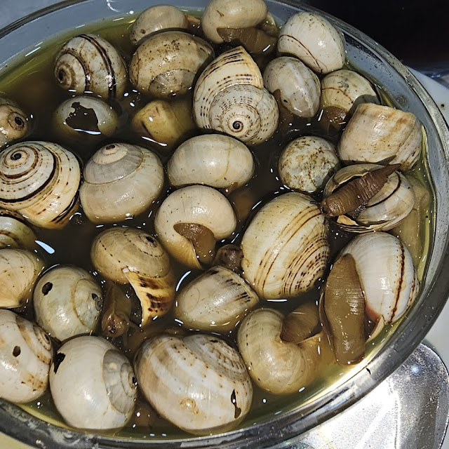 Caracoles