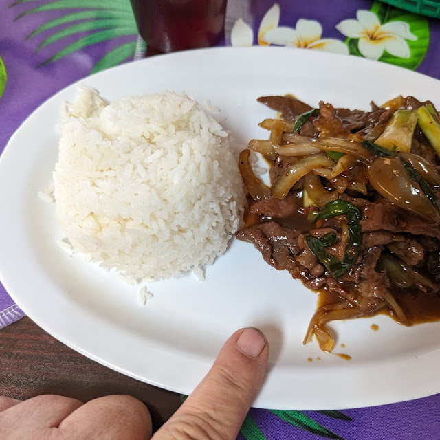 Mongolian Beef