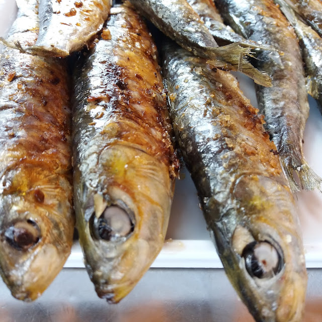 Grilled Sardines