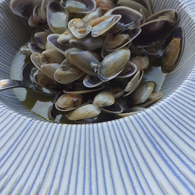 Coquinas
