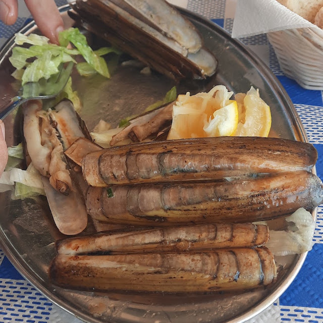Navajas