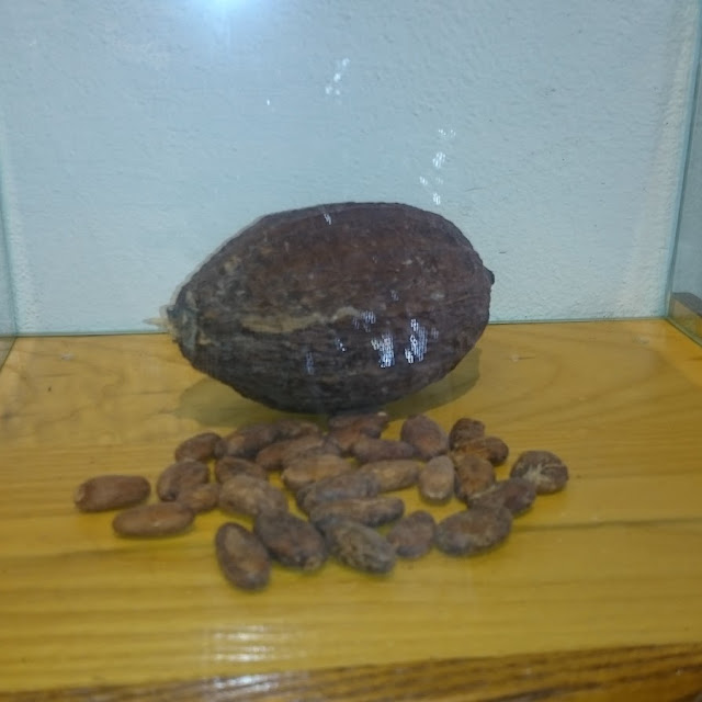 Cacao