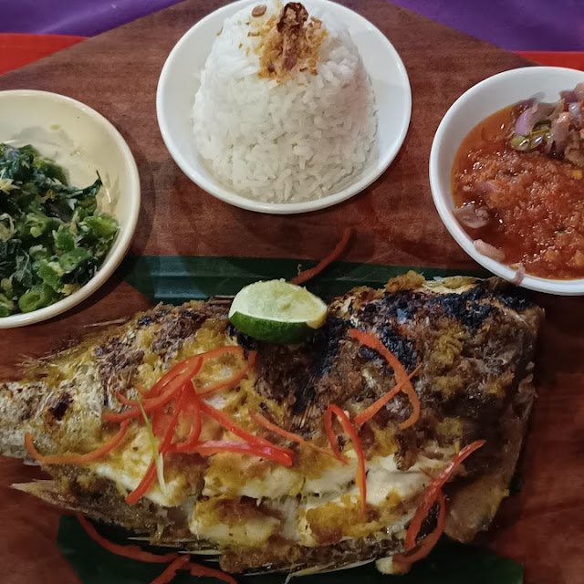 Red Snapper