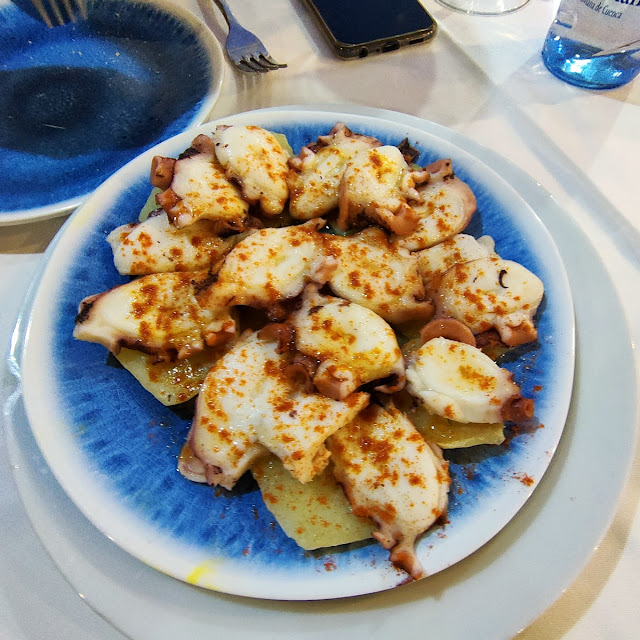 Octopus Starter