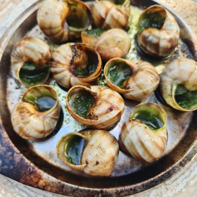 Snails