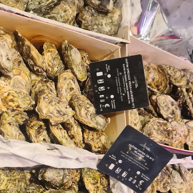 Oysters