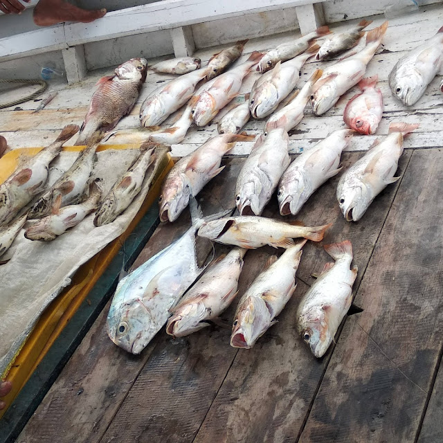 Km Ruby Fishing 4 Kapten Andyen