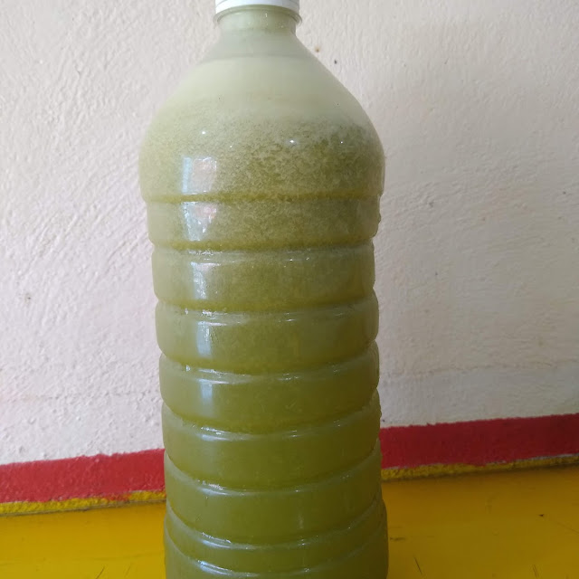 Jugo Verde Con Toronja 1 L