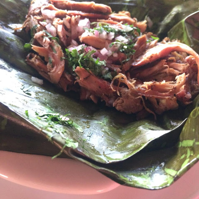 Carnitas de Pato