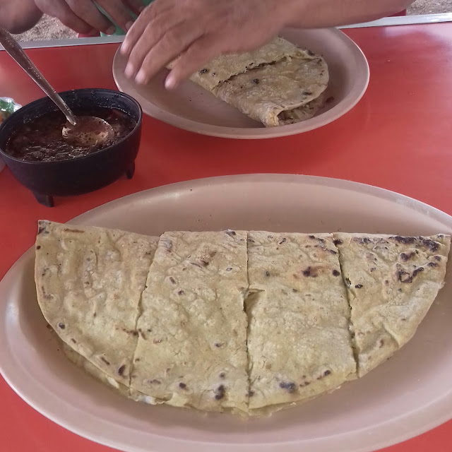 Quesadilla Carne Asada