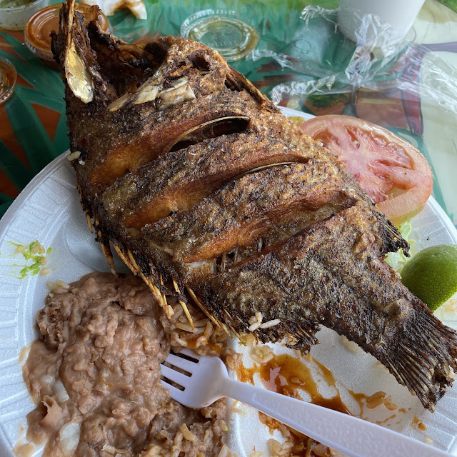 Mojarras