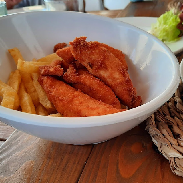 Pollo