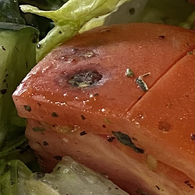 Moldy Tomato